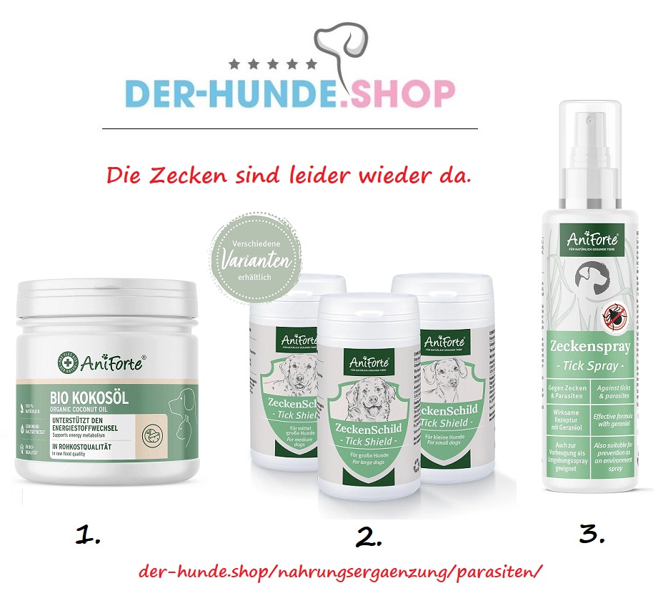 direkt zu den Produkten