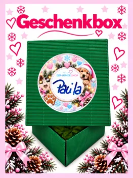 Nikolausbox bzw. weihnachtliche Geschenkbox