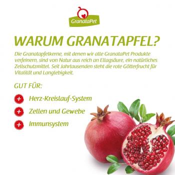 Preview: DeliCATessen - Thunfisch & Ente