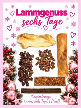 Preview: Deluxe Adventskalender - 01.10.26 bis 30.11.26