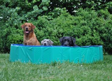 Preview: Hundepool in ROT (kein grün)
