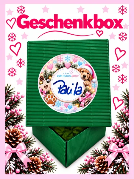 Nikolausbox bzw. weihnachtliche Geschenkbox