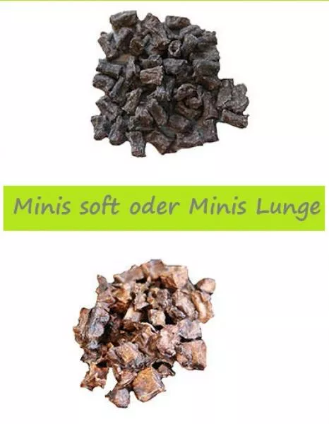 Last Minute - dein Hund ist unsere Passion